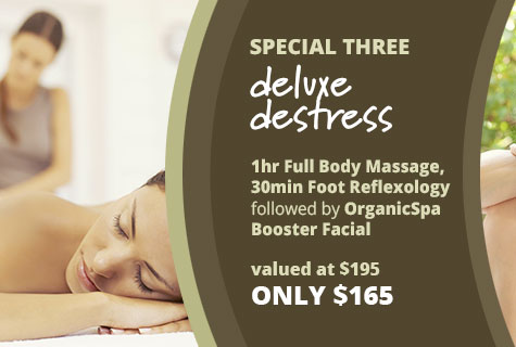 Full Body Massage, Foot Reflexology and Organic Spa Facial offer